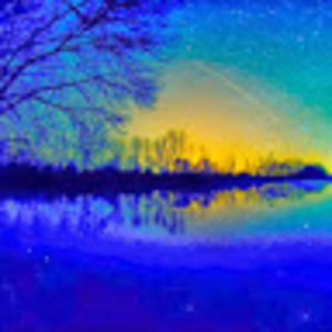 Meet your Posher, Maggie